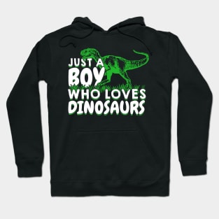 Just A Boy Who Loves Dinosaurs Hoodie